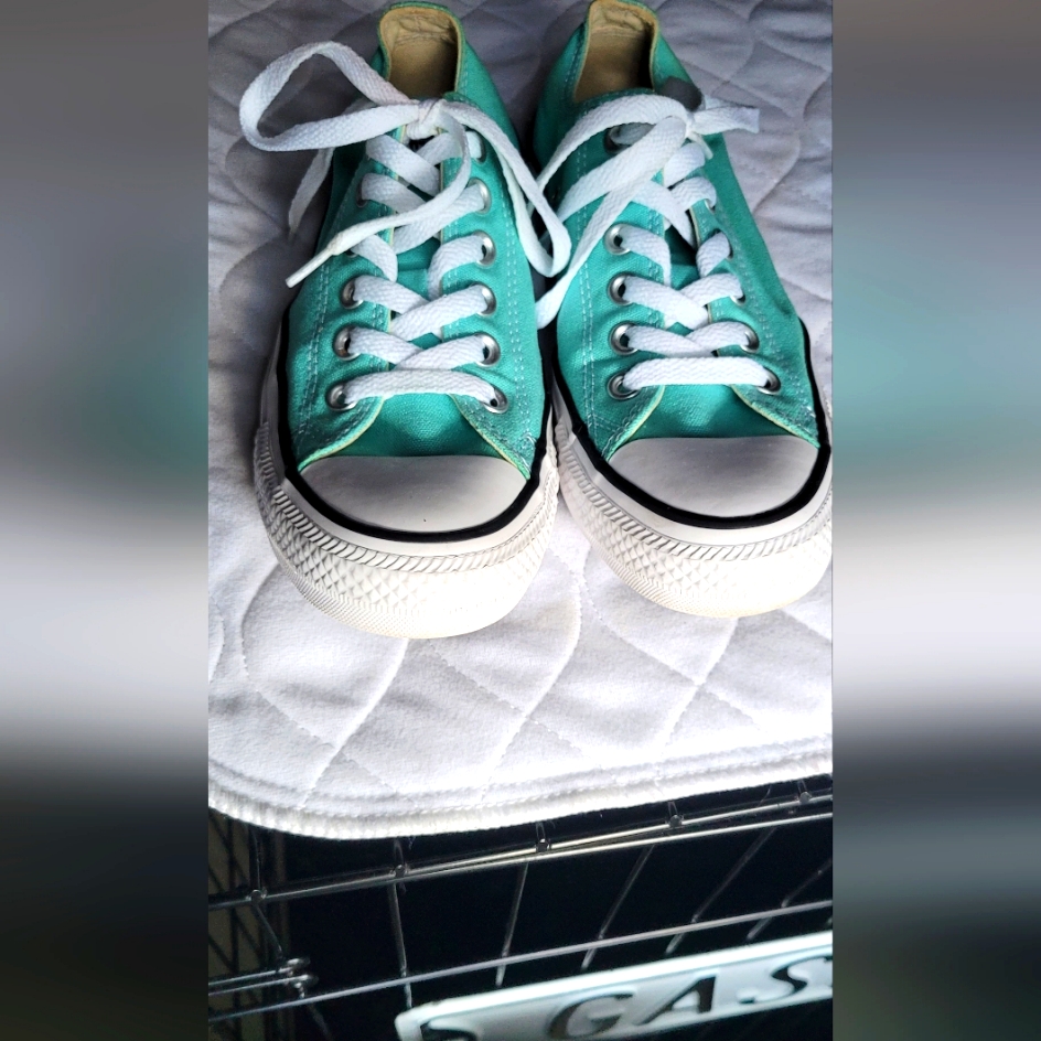 Converse Chucks